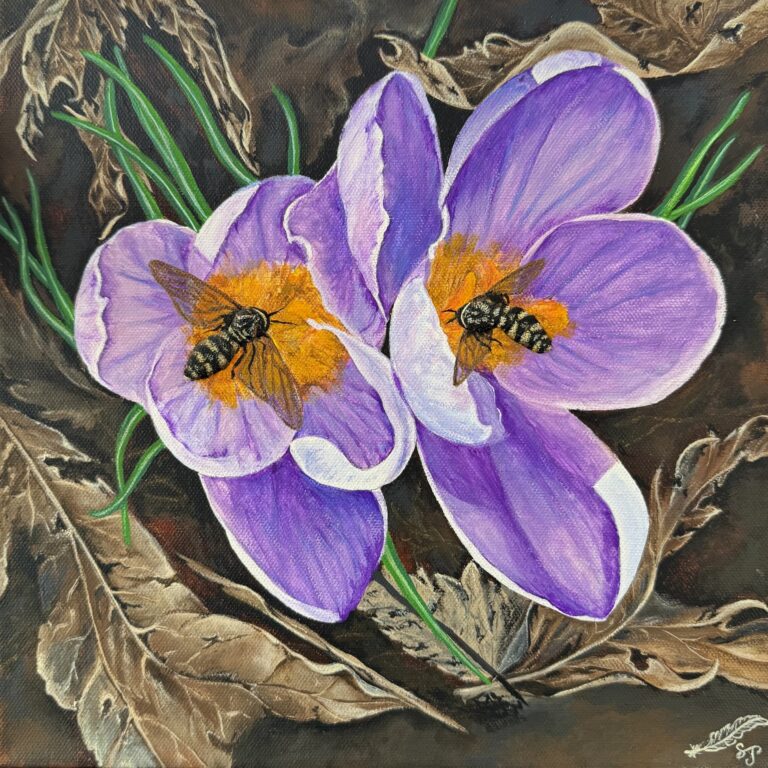 acrylic | 12x12 | Buy It Now $410