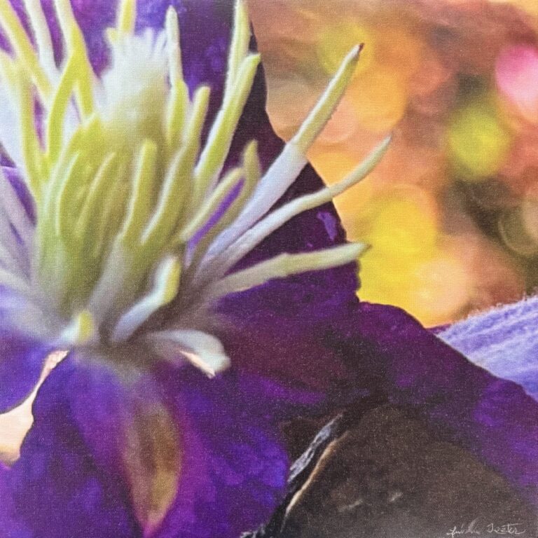 photography | 12x12 | Buy It Now $190