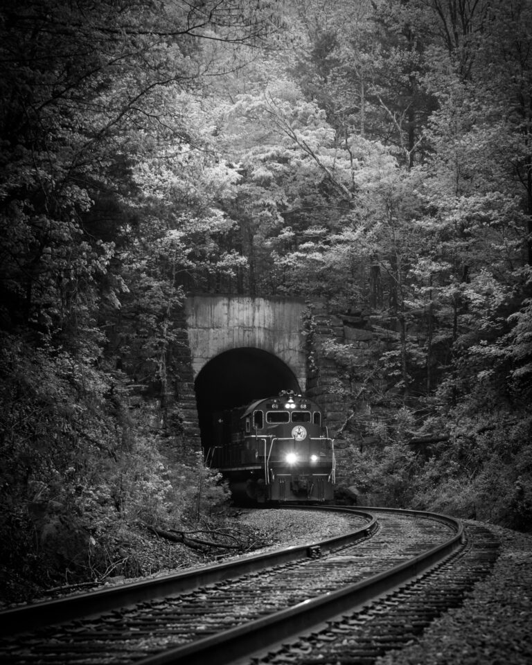 Dena Creamer | Power and Glory | $250