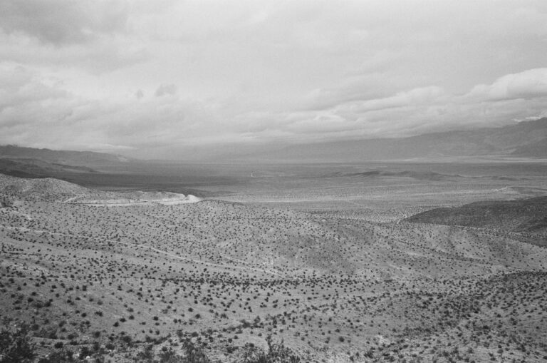 Irena Levental | Valley | $350