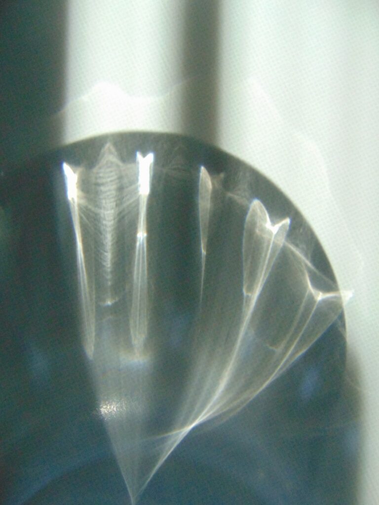 Christine B. Miller | Day of the Dead Sugar Skull, No. 1 | $300