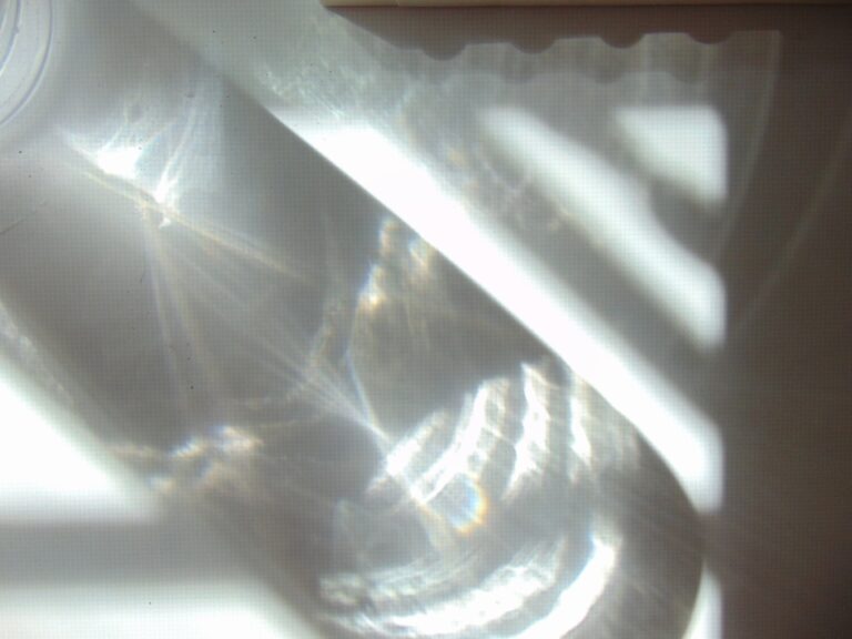 Christine B. Miller | Day of the Dead Sugar Skull, No. 2 | $300