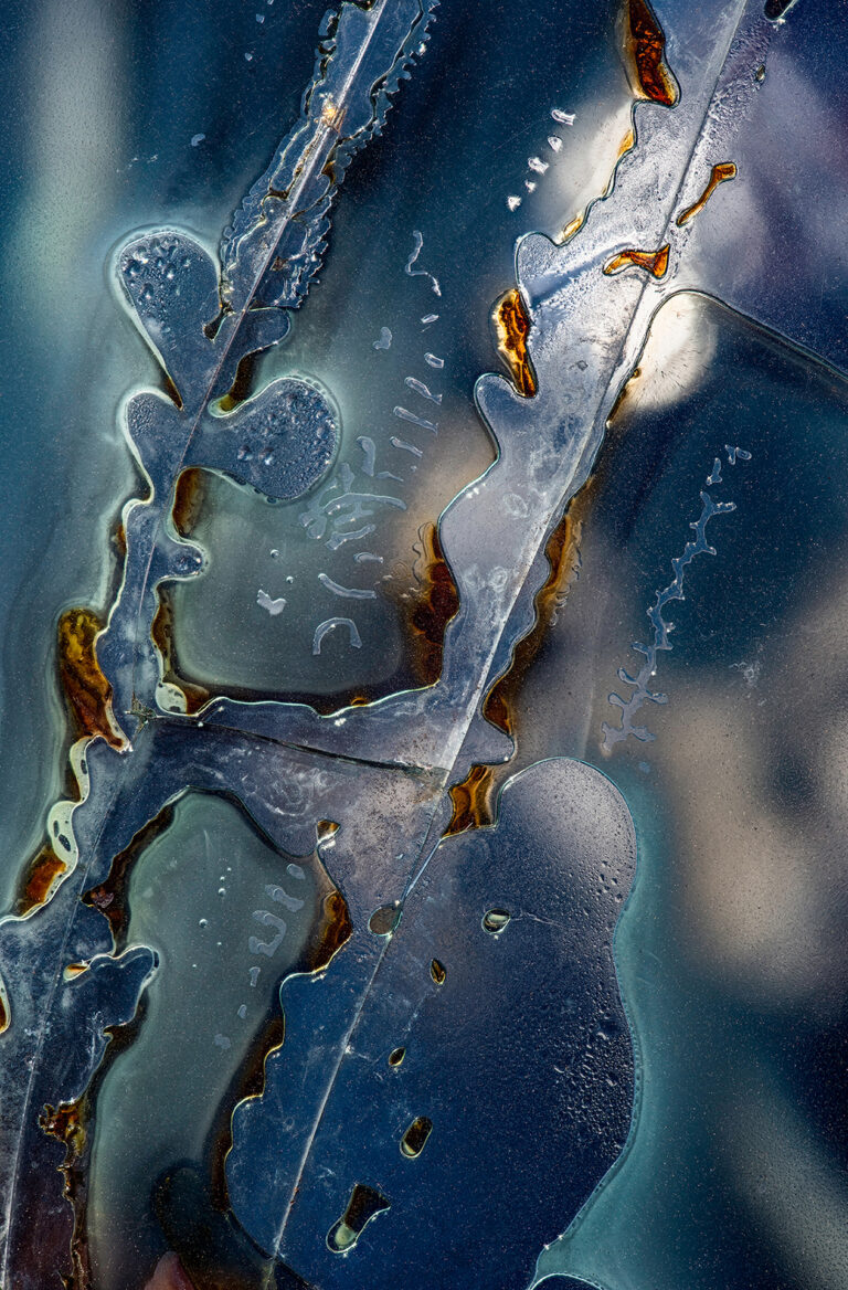 Christopher Morse | Seguin #741 | $225