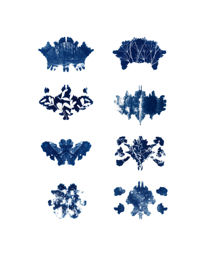 Savannah O'Brien | Field Notes from the Hidden World | NFS