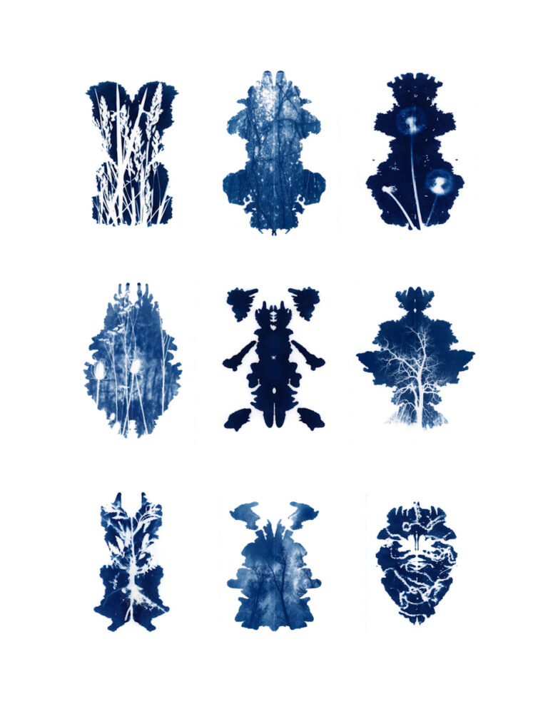 Savannah O'Brien | Field Notes from the Hidden World | NFS