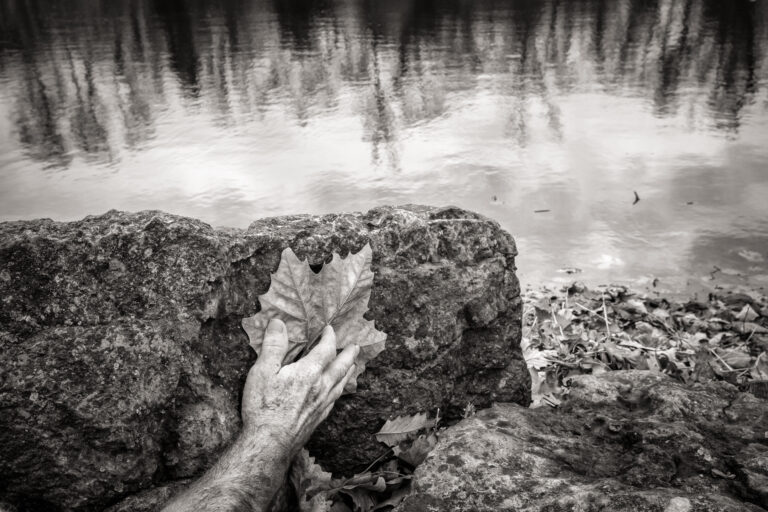 Jon Onstot | Leaf | $300