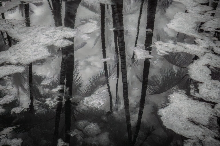 Dennis Segers | Depth | $450