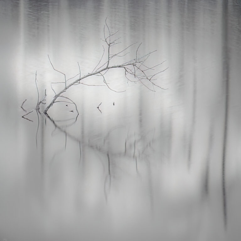 Dennis Segers | Silence | $650