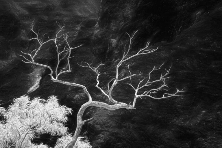 Dennis Segers | Waimea Canyon | $600