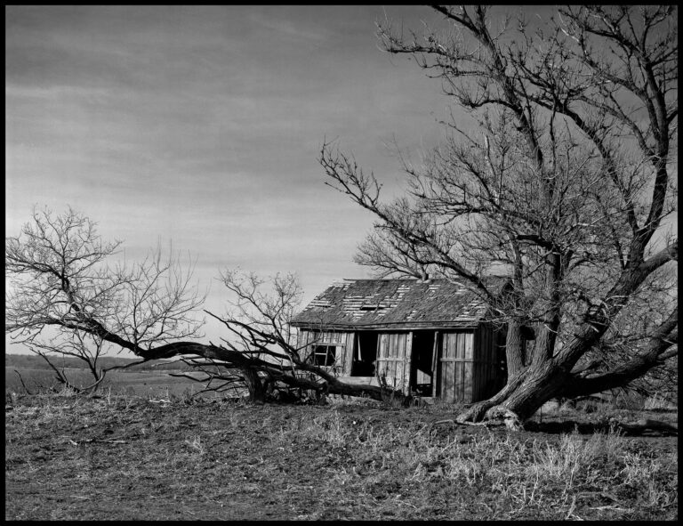 Curtis VanWye | JJ Building | $150