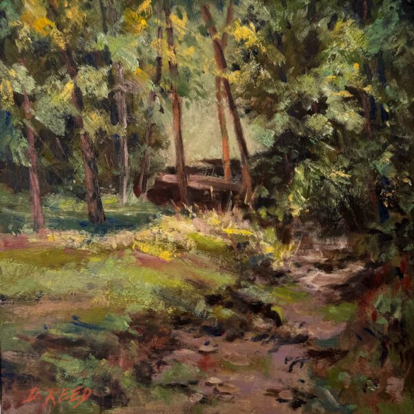 73 - Woodland Path by Debbie Reed