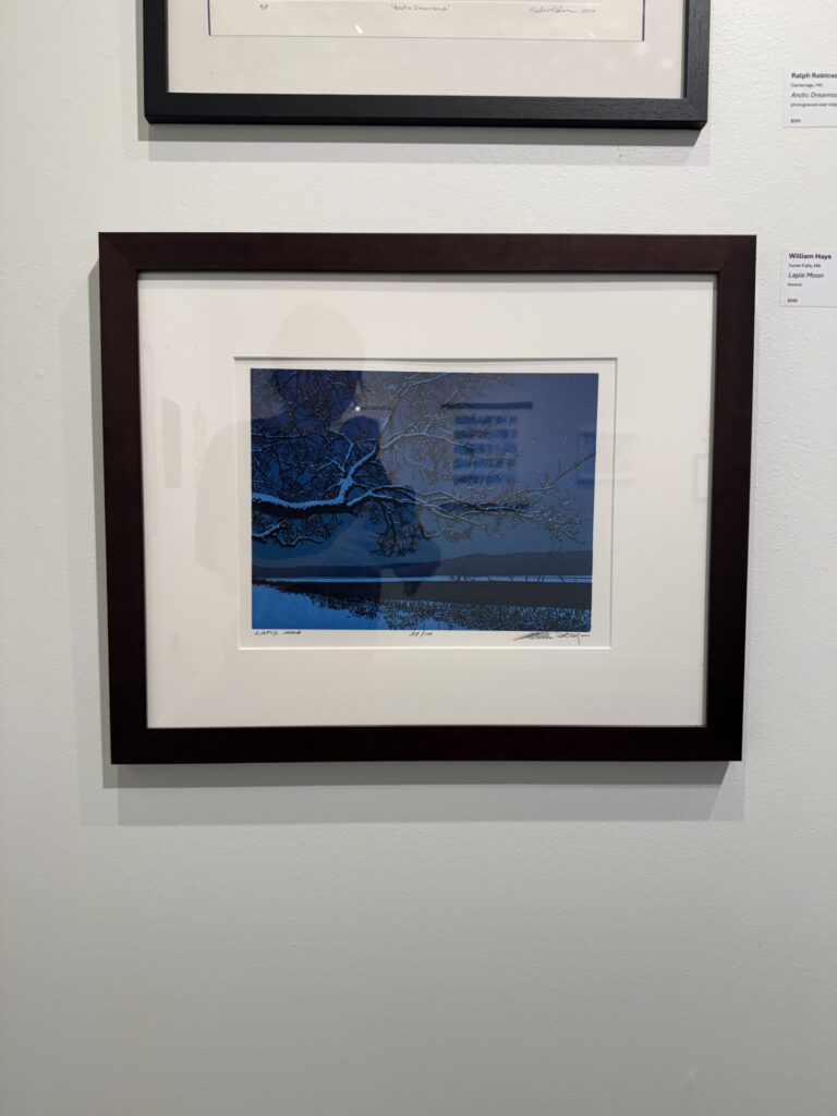 3rd Place - William Hays - "Lapis Moon"