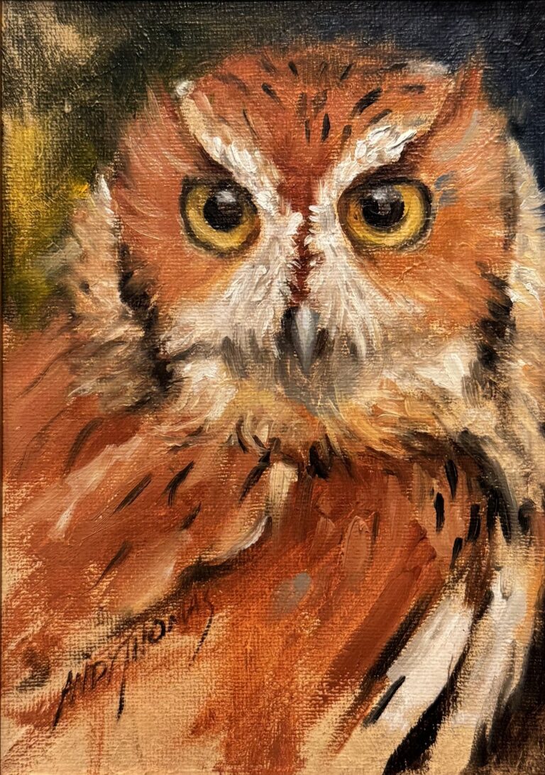 Rufous Eastern Screech Owl | 2020 | oil | $1,200